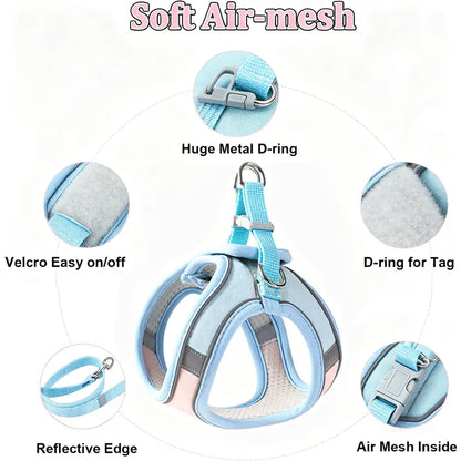 Escape Proof Cat Harness and Leash Set - Adjustable, Soft Mesh Fabric, Lightweight, Sturdy Lock, Stress-Free for Small/Medium Cats